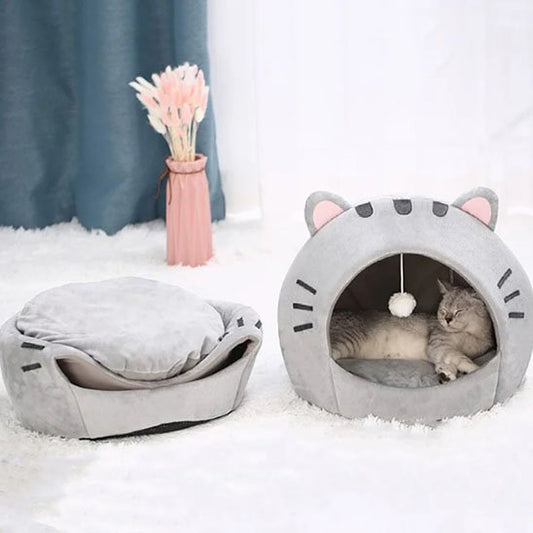 Niche chat sur un tapis