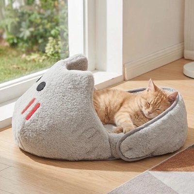 Panier chat dans un salon lumineux