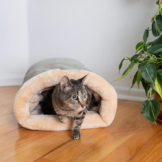 Panier chat posé sur plancher en bois