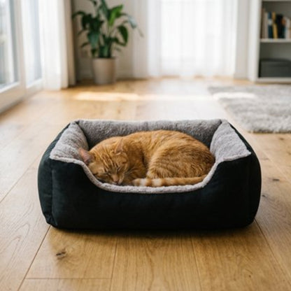 Panier pour chat dans un salon