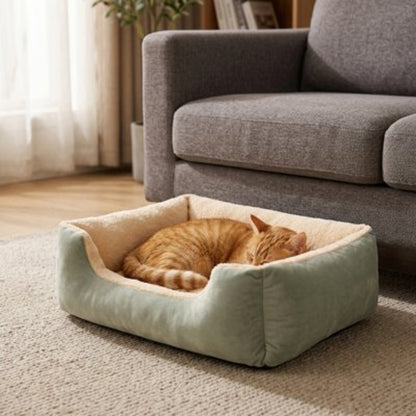 Panier pour chat dans un salon