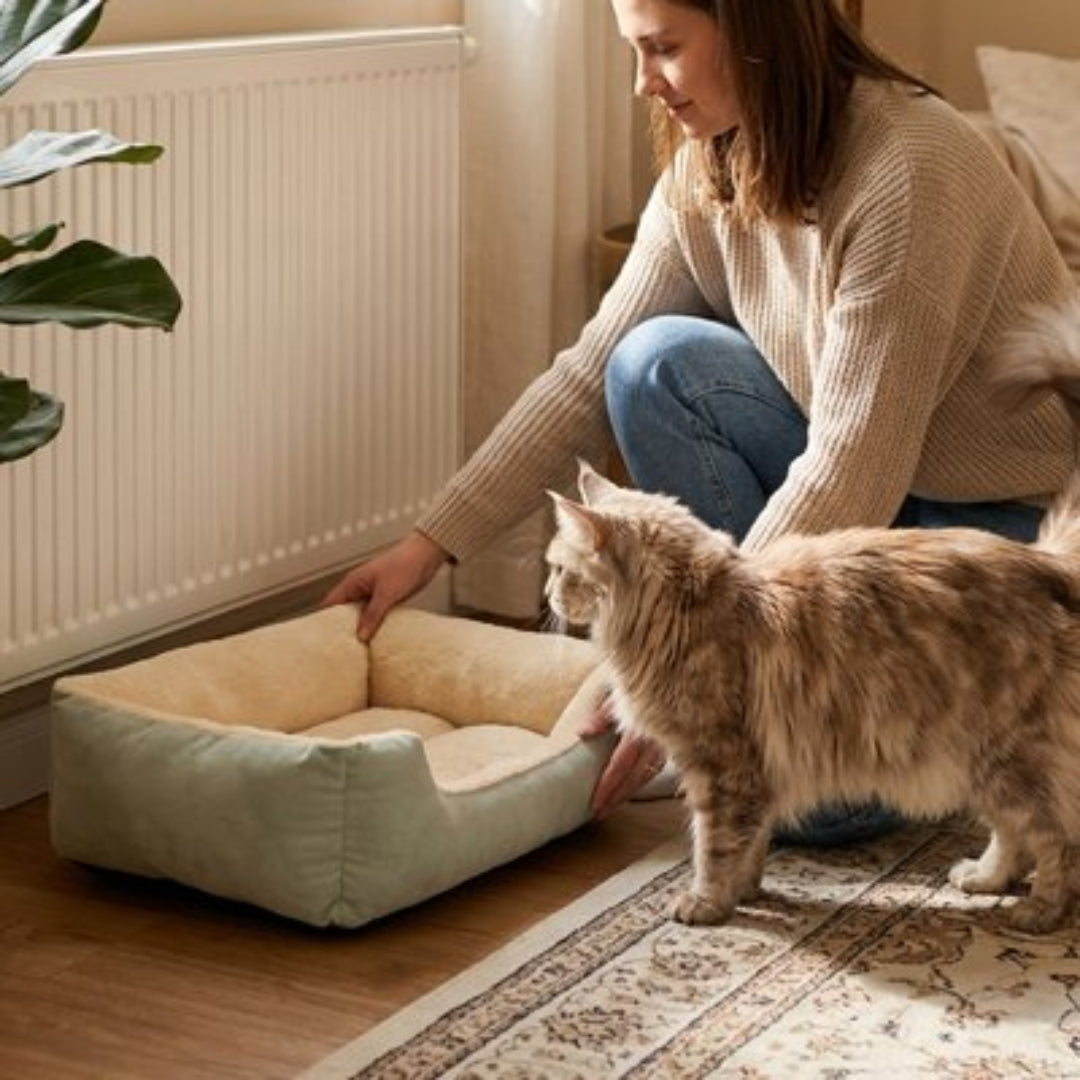 Panier pour chat sur plancher en bois