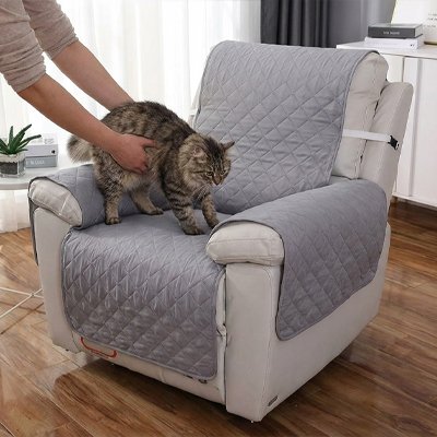Une personne dépose un chat tigré sur une protection canapé chat du fauteuil inclinable beige 