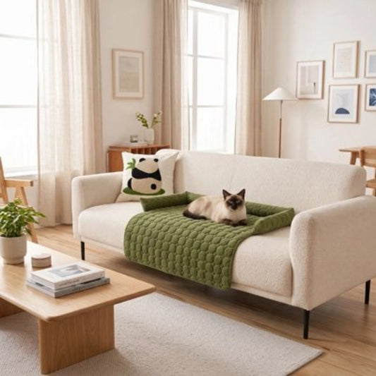 Protection canapé chat de couleur verte sur un canapé