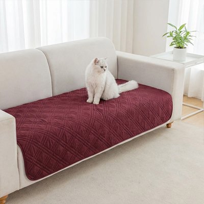 Protection canapé chat rouge matelassé avec un chat blanc assis dessus dans un salon moderne 