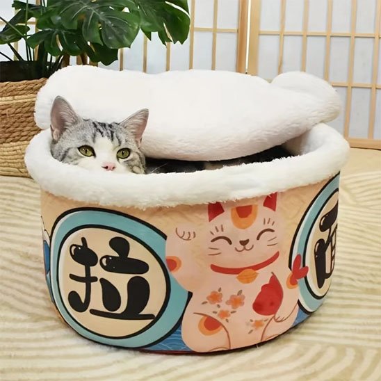 Petit chat caché dans une maison pour chat 