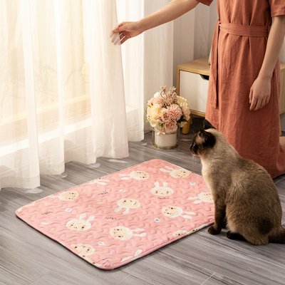 Tapis chat de couleur rose