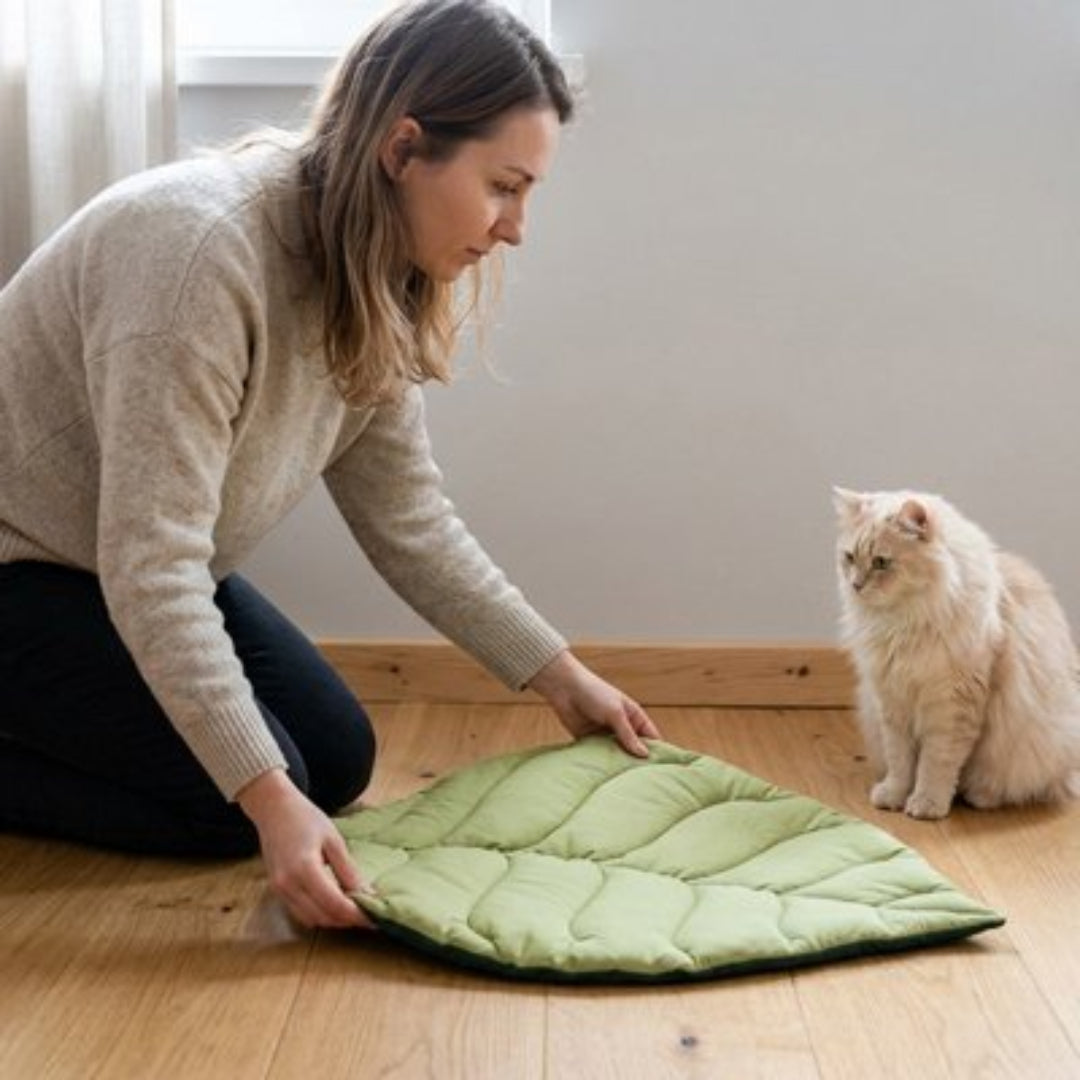 Tapis chat vert sous forme de feuille sur plancher