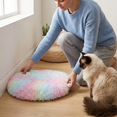 Tapis pour chat multicolore sur plancher en bois