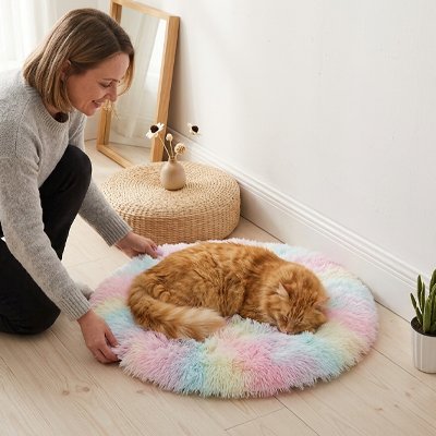 Tapis pour chat multicolore