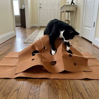 Tapis pour chat sur plancher en bois