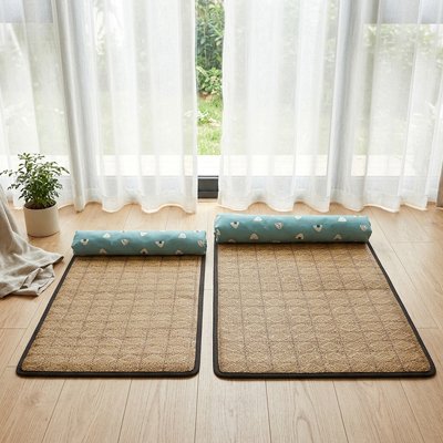 Deux tapis rafraichissants chat dans un beau salon 