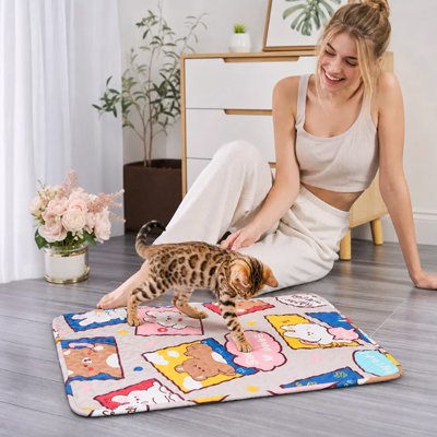 Tapis rafraichissant chat dans un salon lumineux