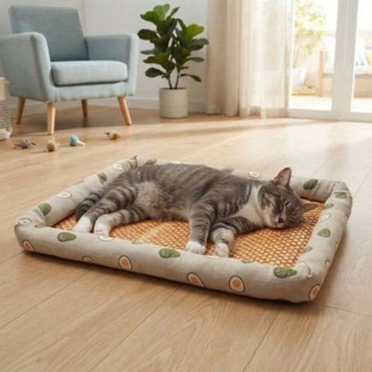 Tapis rafraichissant chat dans un salon