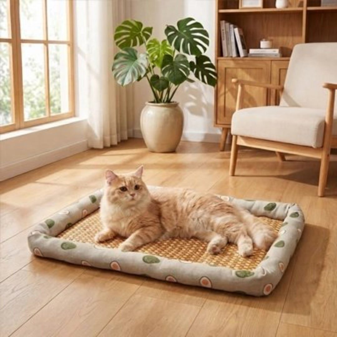 Tapis rafraichissant chat posé au plancher