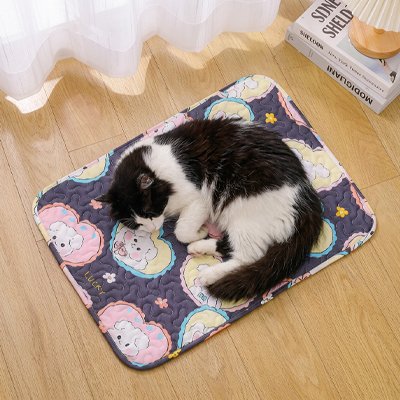 Tapis rafraichissant chat sur plancher en bois 