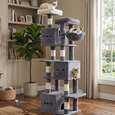 trois chats reposent bien sur arbre à chat gris foncé