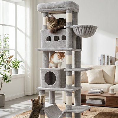 Trois chats sont bien installés sur arbre à chat de couleur gris