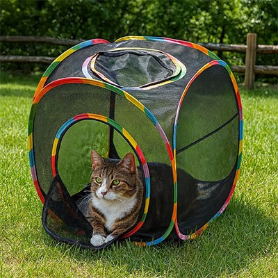 Tunnel à chat multicolore
