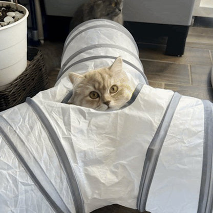 Tunnel chat en forme de T