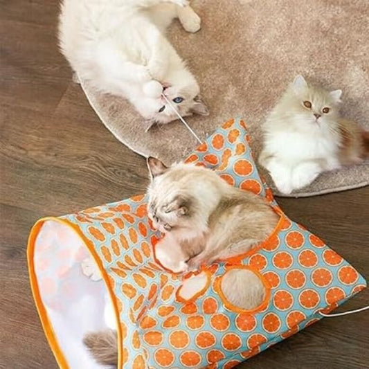 Tunnel chat orange avec trois chat