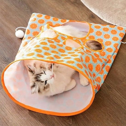 Tunnel chat orange et chat dedans