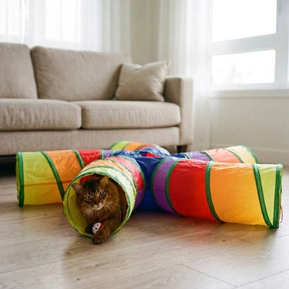 Tunnel chaton sur plancher en bois