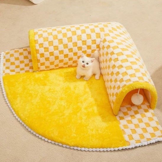 Tunnel du chat sur un tapis