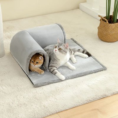 Tunnel pour chat dans un salon