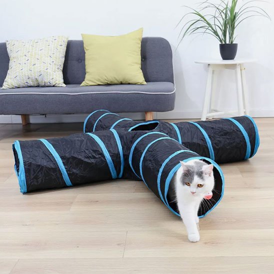 Tunnel pour chat dans un salon