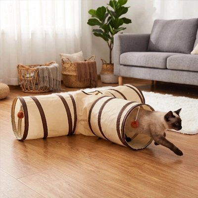 Tunnel pour chat sur plancher en bois dans un salon
