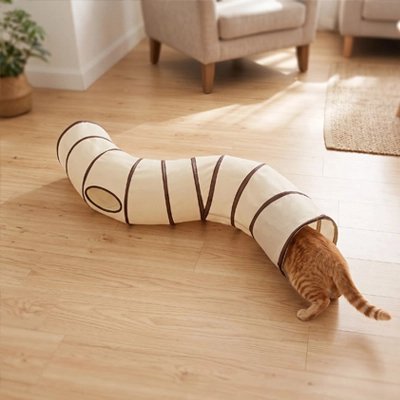 Tunnel pour chat sur plancher en bois