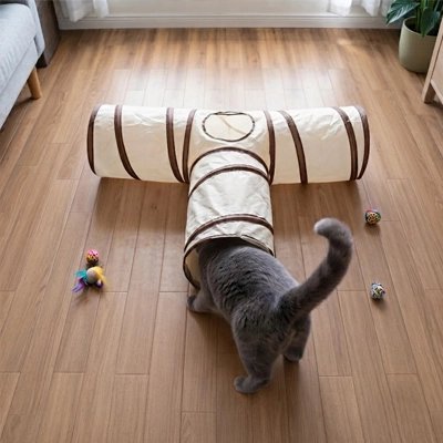 Tunnel pour chat sur plancher en bois