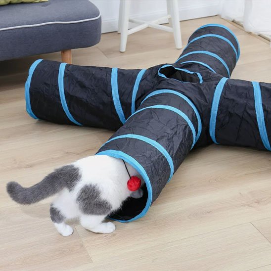 Tunnel pour chat sur plancher 