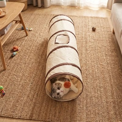 Tunnel pour chat sur un tapis dans un salon