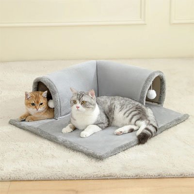 Tunnel pour chat sur un tapis