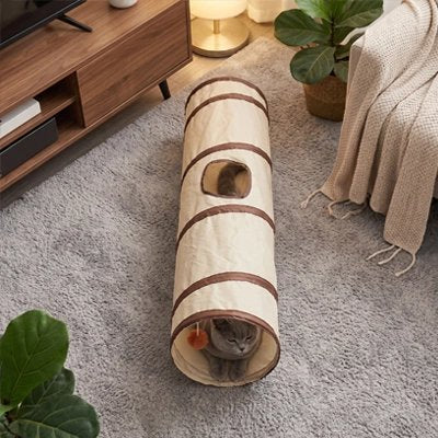 Tunnel pour chat sur un tapis