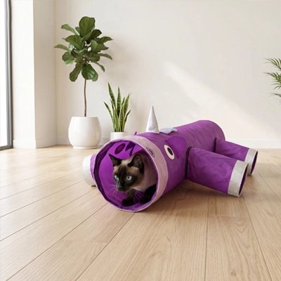 Tunnel pour chats dans un salon lumineux
