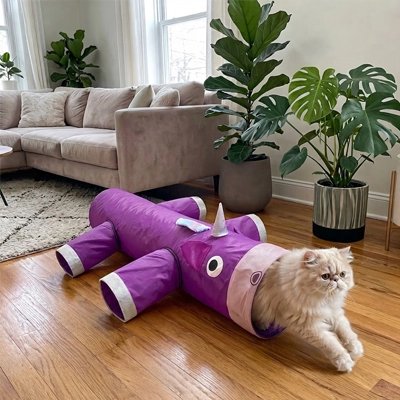 Tunnel pour chats sur plancher en bois