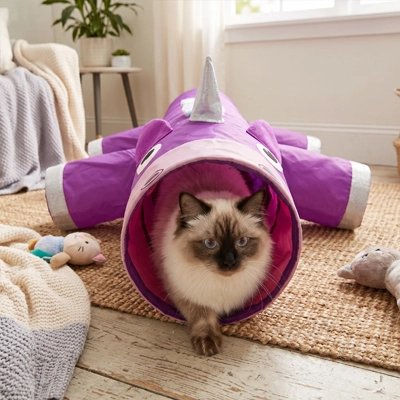 Tunnel pour chats sur un tapis