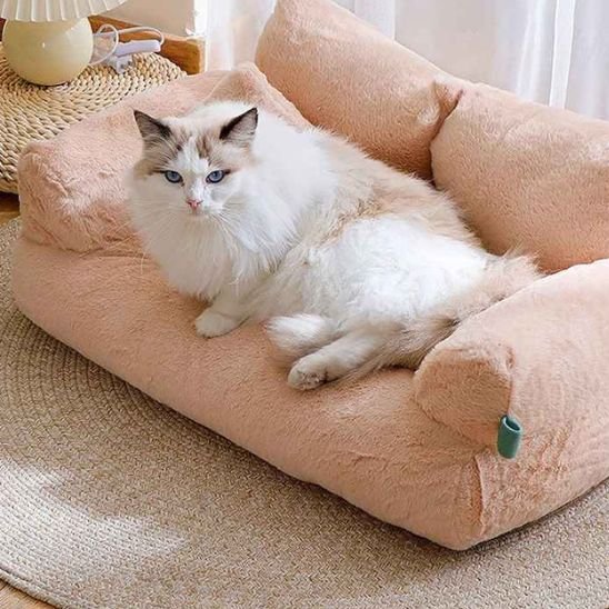 Un chat à poils longs et aux yeux bleus, allongé sur un panier pour chat de couleur pêche.