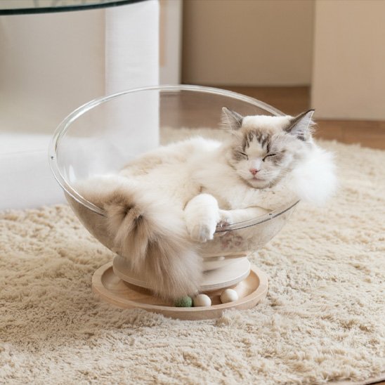 Un chat à poils longs endormis dans lits pour chats en forme de demi-sphère