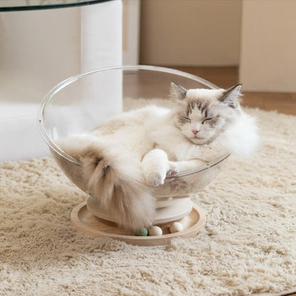 Un chat à poils longs endormis dans lits pour chats en forme de demi-sphère