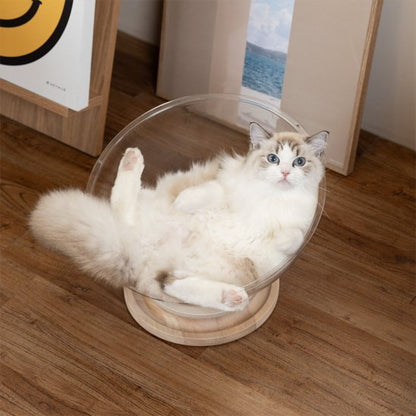 Un chat à poils longs est allongé sur le dos dans lits pour chats en forme de demi-sphère