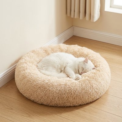 Un chat blanc endormi paisiblement dans un coussin pour chat 