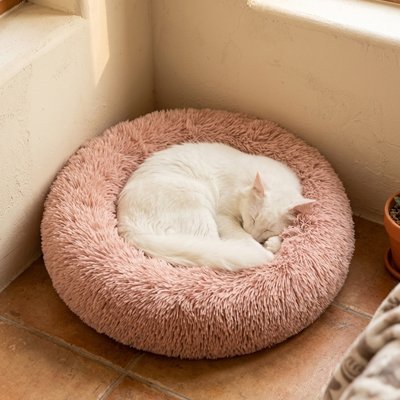 Un chat blanc endormi dans un coussin pour chat rond rose poudré