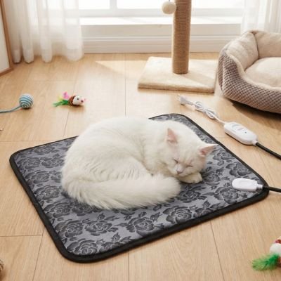 Un chat blanc endormi paisiblement sur un apis pour chat 