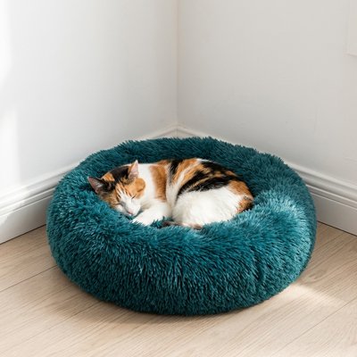 Un chat calicot dort paisiblement enroulé sur lui-même au centre d'un Coussin Chat 