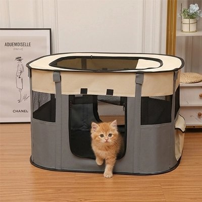 Un chat dans une maison à chat
