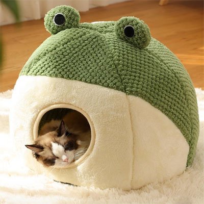 Un chat de race Ragdoll dort paisiblement à l'intérieur d'une niche pour chat en peluche en forme de tête de grenouille verte et crème, posée sur un 